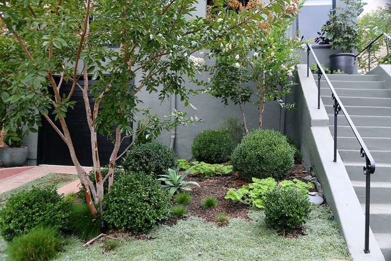 Mini Zen Garden – Floradora Garden Design