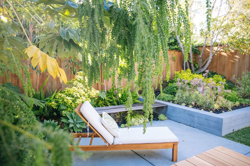 Modern and Textural Garden – Floradora Garden Design