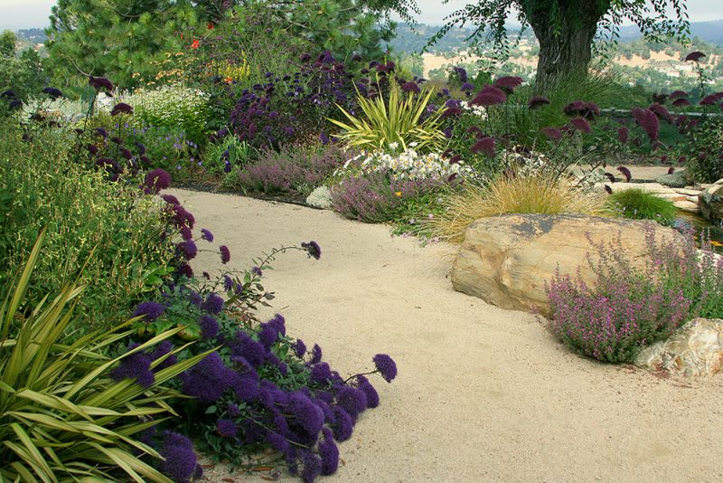 Water-Conscious Hilltop Garden – Floradora Garden Design